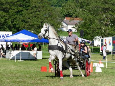 Foto des Albums: Fahrturnier Hilders 2019