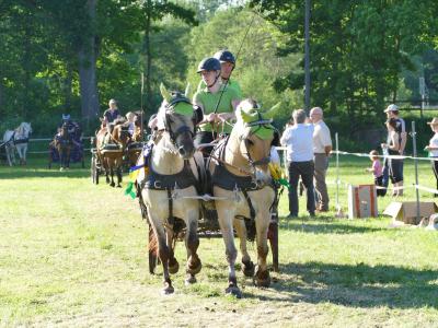 Foto des Albums: Fahrturnier Hilders 2019