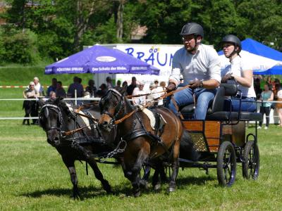 Foto des Albums: Fahrturnier Hilders 2019