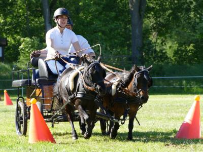 Foto des Albums: Fahrturnier Hilders 2019