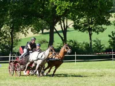 Foto des Albums: Fahrturnier Hilders 2019