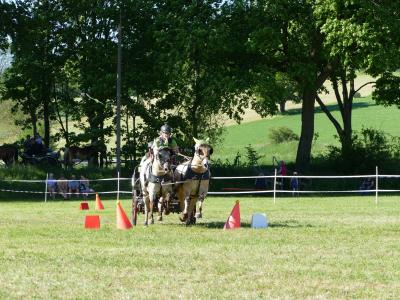 Foto des Albums: Fahrturnier Hilders 2019