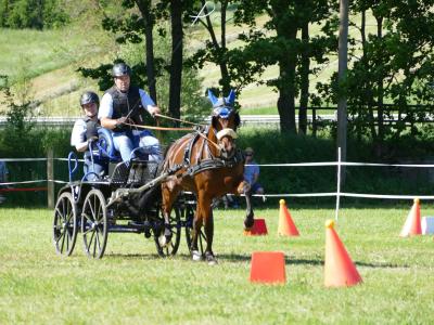 Foto des Albums: Fahrturnier Hilders 2019