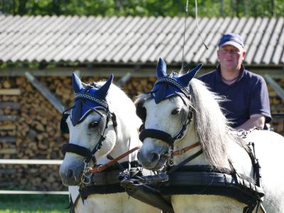 Foto des Albums: Fahrturnier Hilders 2019