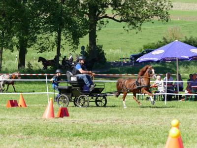Foto des Albums: Fahrturnier Hilders 2019