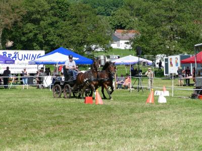 Foto des Albums: Fahrturnier Hilders 2019