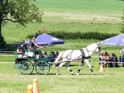 Foto des Albums: Fahrturnier Hilders 2019