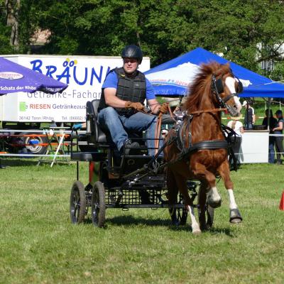 Foto des Albums: Fahrturnier Hilders 2019