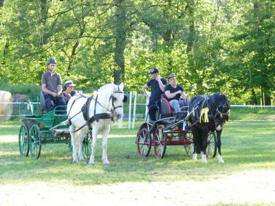 Foto des Albums: Fahrturnier Hilders 2019