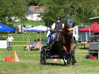 Foto des Albums: Fahrturnier Hilders 2019