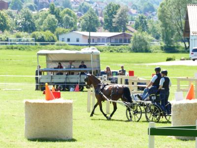 Foto des Albums: Fahrturnier Hilders 2019