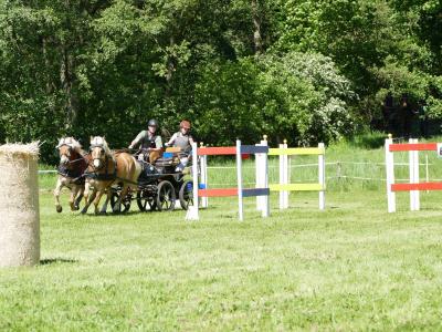Foto des Albums: Fahrturnier Hilders 2019