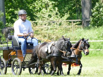 Foto des Albums: Fahrturnier Hilders 2019