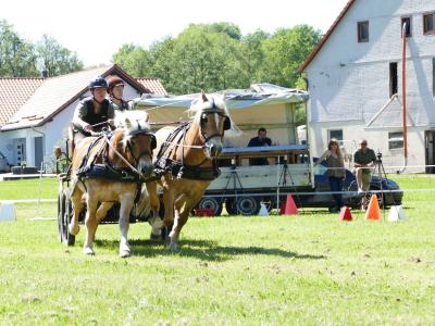 Foto des Albums: Fahrturnier Hilders 2019