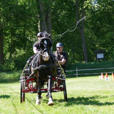 Foto des Albums: Fahrturnier Hilders 2019