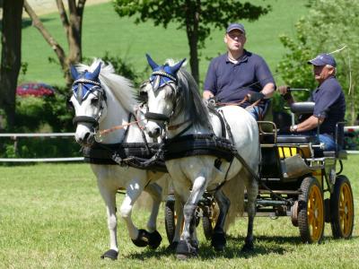 Foto des Albums: Fahrturnier Hilders 2019