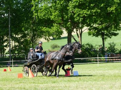 Foto des Albums: Fahrturnier Hilders 2019
