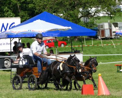 Foto des Albums: Fahrturnier Hilders 2019