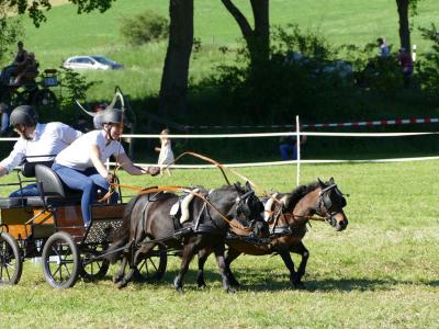 Foto des Albums: Fahrturnier Hilders 2019