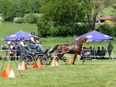 Foto des Albums: Fahrturnier Hilders 2019