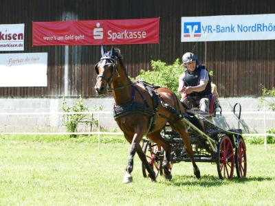 Foto des Albums: Fahrturnier Hilders 2019