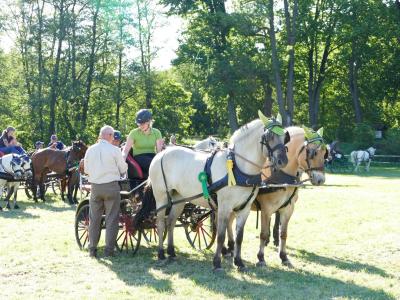 Foto des Albums: Fahrturnier Hilders 2019
