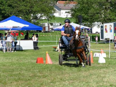 Foto des Albums: Fahrturnier Hilders 2019