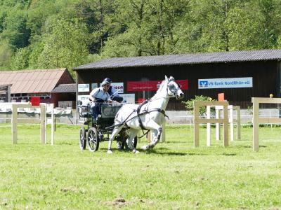 Foto des Albums: Fahrturnier Hilders 2019