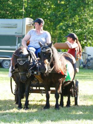 Foto des Albums: Fahrturnier Hilders 2019