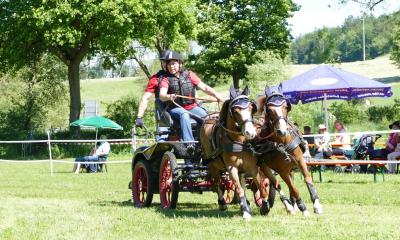Foto des Albums: Fahrturnier Hilders 2019