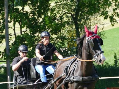 Foto des Albums: Fahrturnier Hilders 2019