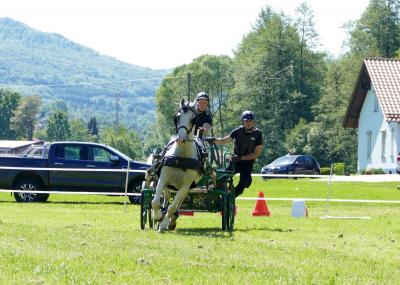 Foto des Albums: Fahrturnier Hilders 2019