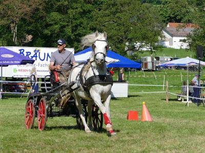Foto des Albums: Fahrturnier Hilders 2019