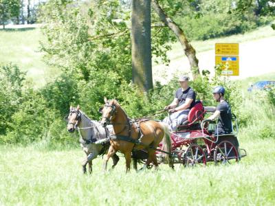 Foto des Albums: Fahrturnier Hilders 2019