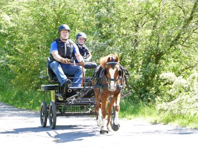 Foto des Albums: Fahrturnier Hilders 2019