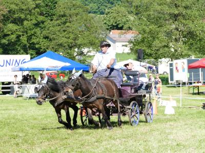 Foto des Albums: Fahrturnier Hilders 2019