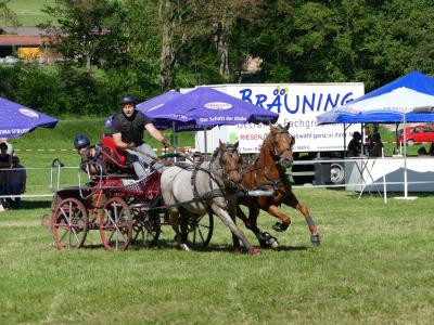 Foto des Albums: Fahrturnier Hilders 2019