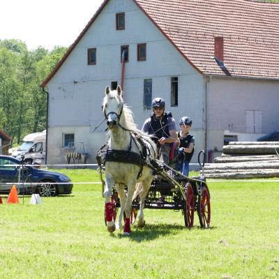 Foto des Albums: Fahrturnier Hilders 2019