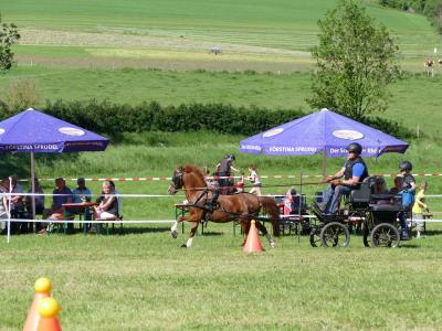 Foto des Albums: Fahrturnier Hilders 2019