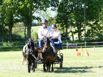 Foto des Albums: Fahrturnier Hilders 2019