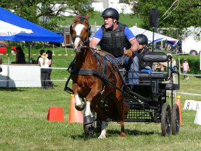 Foto des Albums: Fahrturnier Hilders 2019