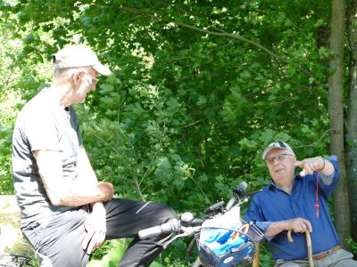 Foto des Albums: Fahrturnier Hilders 2019