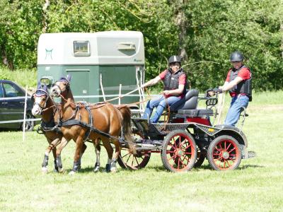 Foto des Albums: Fahrturnier Hilders 2019