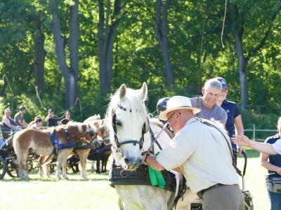 Foto des Albums: Fahrturnier Hilders 2019