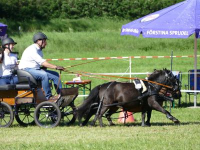 Foto des Albums: Fahrturnier Hilders 2019