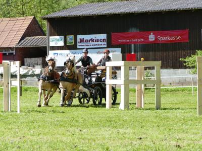 Foto des Albums: Fahrturnier Hilders 2019