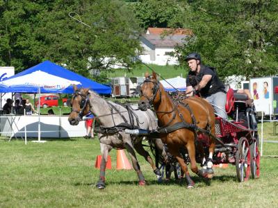 Foto des Albums: Fahrturnier Hilders 2019