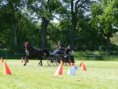 Foto des Albums: Fahrturnier Hilders 2019