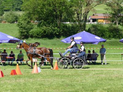 Foto des Albums: Fahrturnier Hilders 2019
