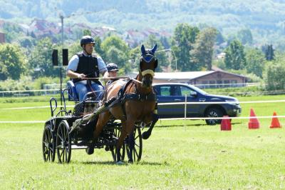 Foto des Albums: Fahrturnier Hilders 2019